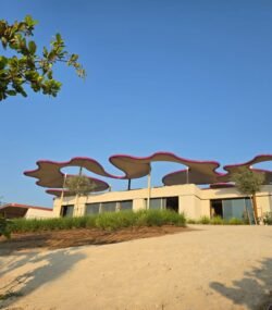 WhatsApp Image 2025-11-29 at 3.53.40 PM