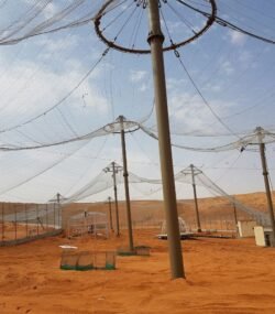 46e5d0ec-e6ae-4841-8f3a-1fee1a158332