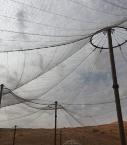 WhatsApp Image 2021-08-14 at 10.08.35 AM (1)