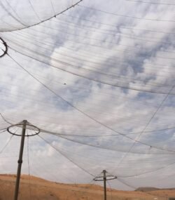 WhatsApp Image 2021-08-14 at 10.08.35 AM